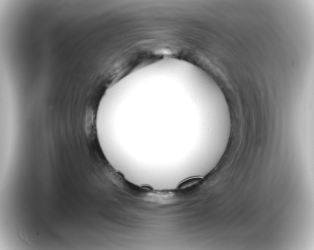 X0000084580480200703161744