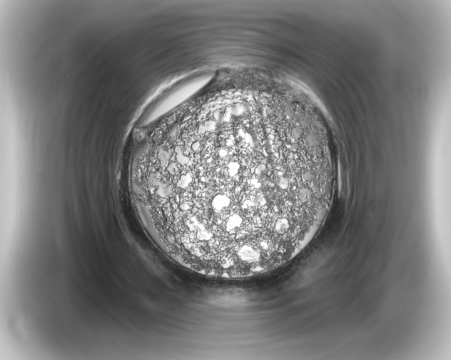 X0000084580483200703161743