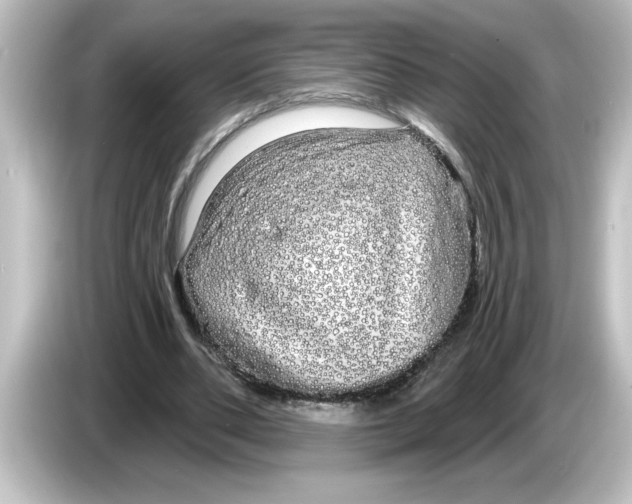 X0000084580486200703161743