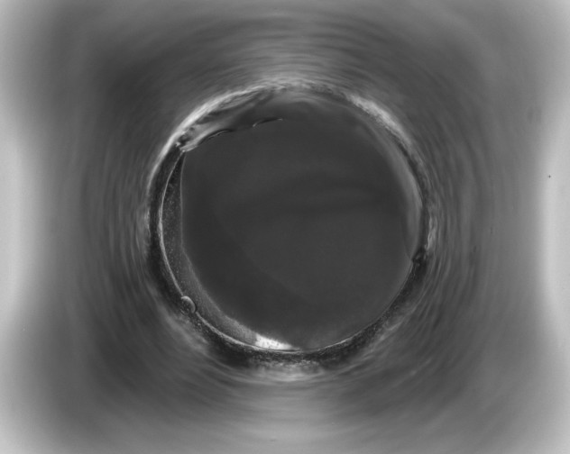 X0000084580488200703161743