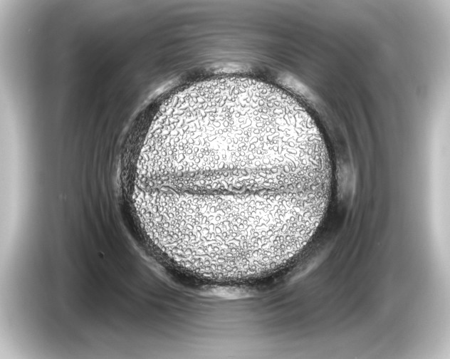 X0000084580490200703161743