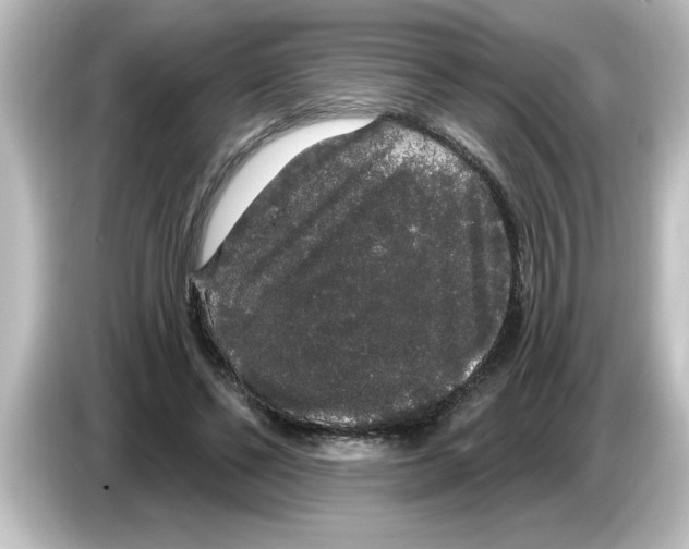 X0000084580494200703161743