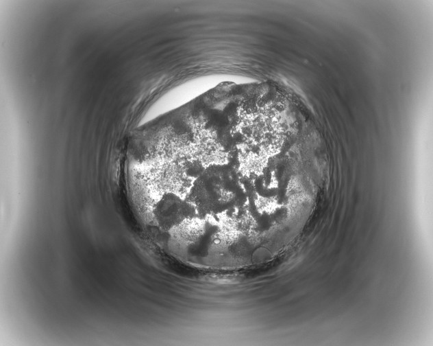 X0000084580495200703161743