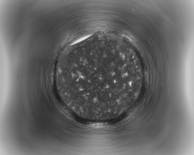 X0000084580499200703161743