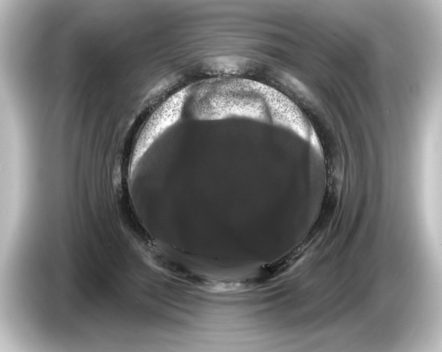 X0000084580500200703161743
