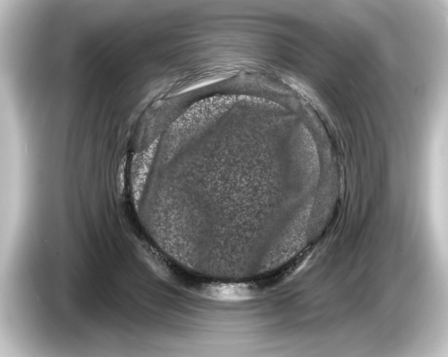 X0000084580501200703161743