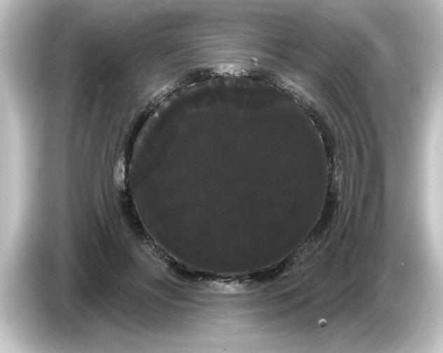 X0000084580502200703161743