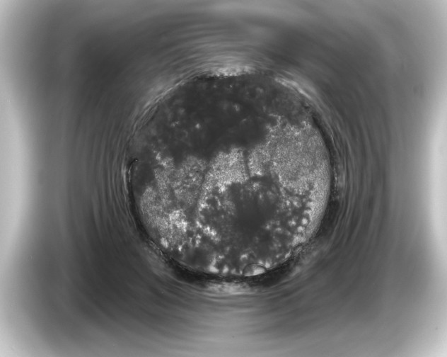 X0000084580503200703161743