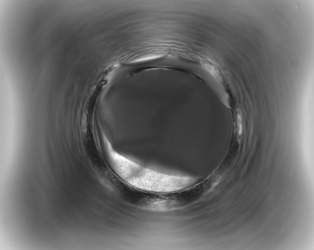 X0000084580504200703161743