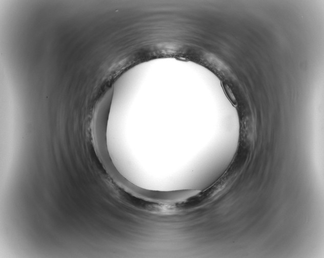 X0000084580509200703161743