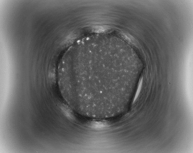 X0000084580510200703161743