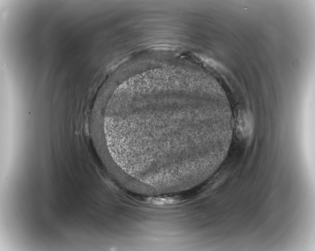 X0000084580512200703161743