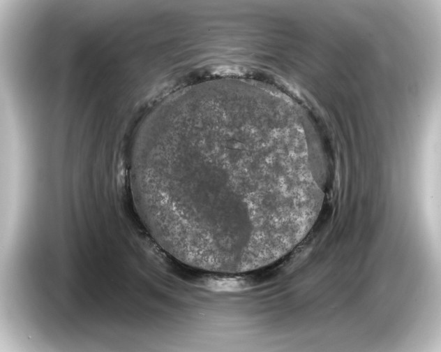 X0000084580513200703161743