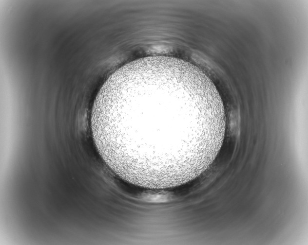 X0000084580514200703161743
