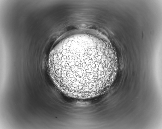 X0000084580515200703161743