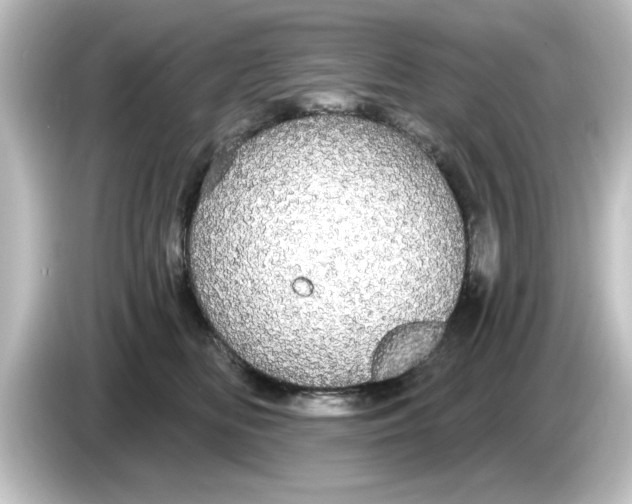 X0000084580518200703161743