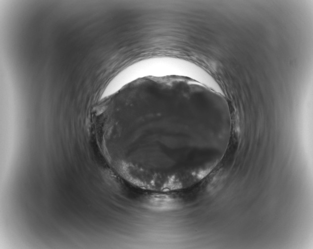 X0000084580519200703161743