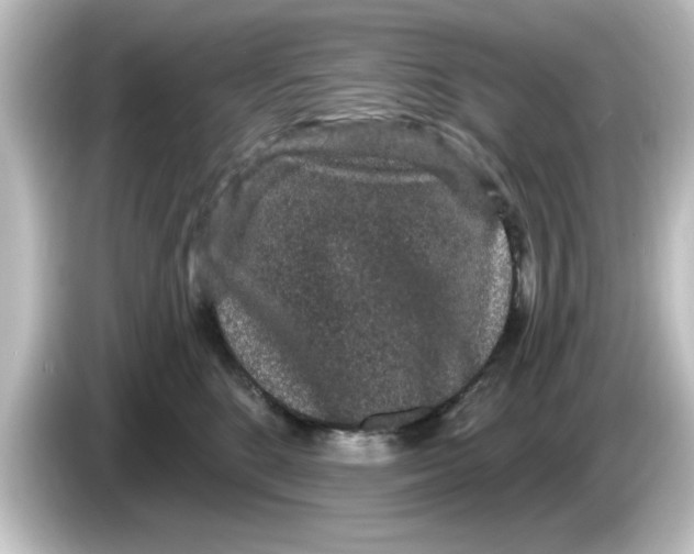 X0000084580520200703161743