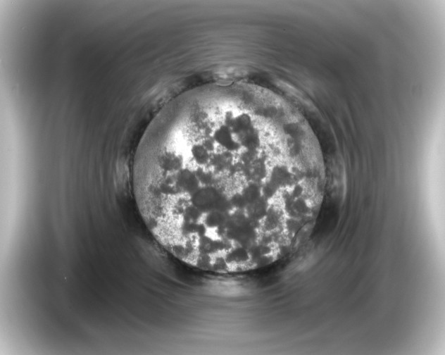 X0000084580523200703161743
