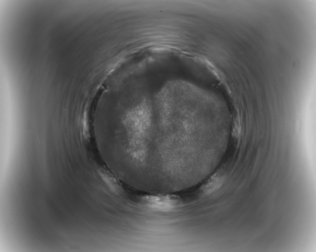 X0000084580524200703161743