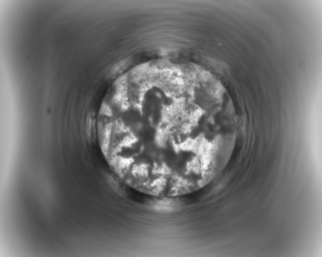 X0000084580527200703161743