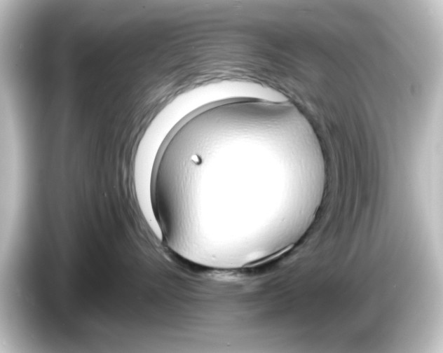 X0000084580528200703161743