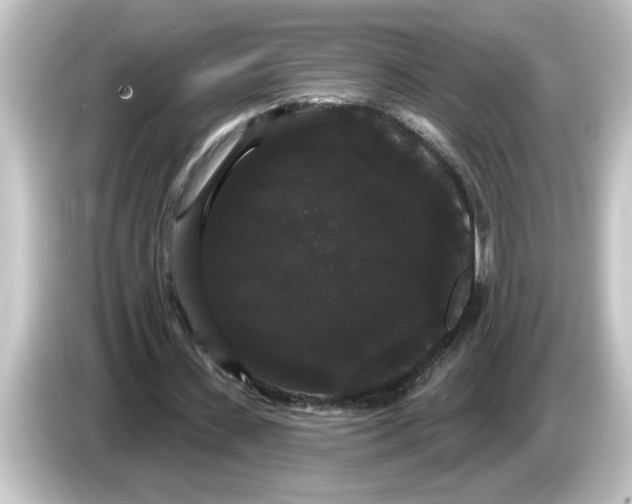 X0000084580531200703161742