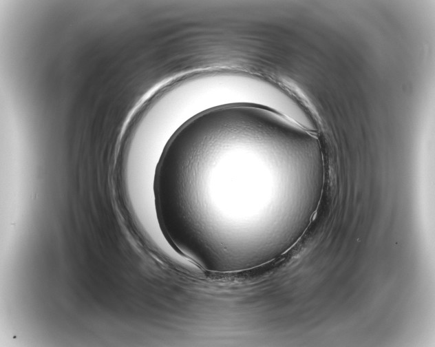 X0000084580532200703161742