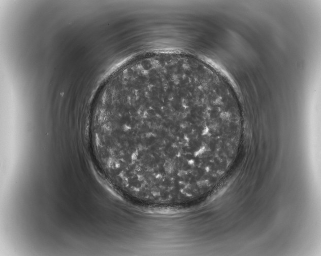 X0000084580533200703161742