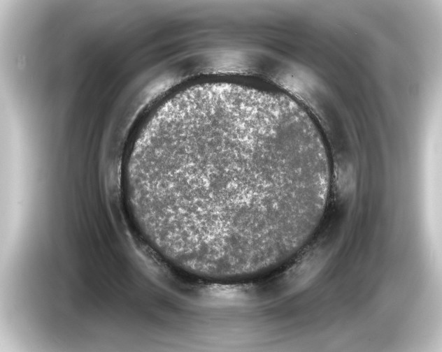 X0000084580534200703161742