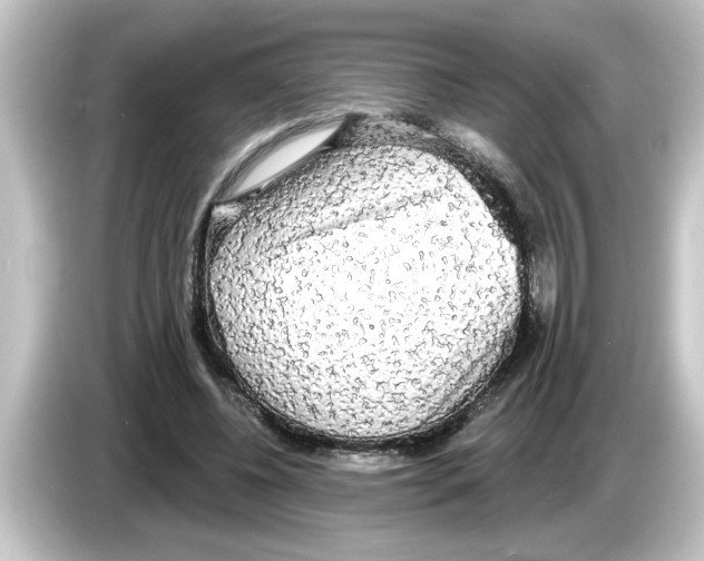 X0000084580540200703161742