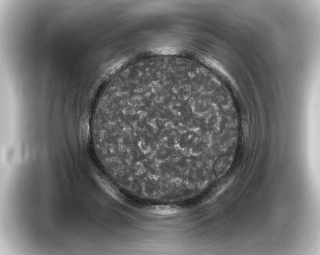 X0000084580541200703161742