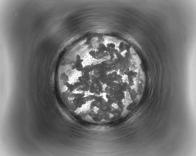 X0000084580542200703161742