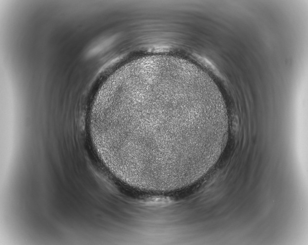 X0000084580543200703161742