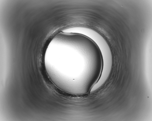 X0000084580544200703161742