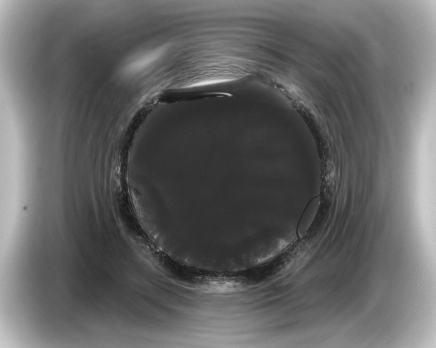 X0000084580547200703161743