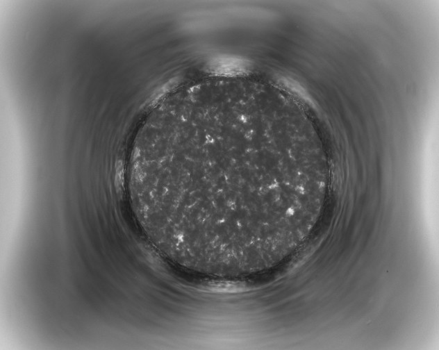 X0000084580549200703161743