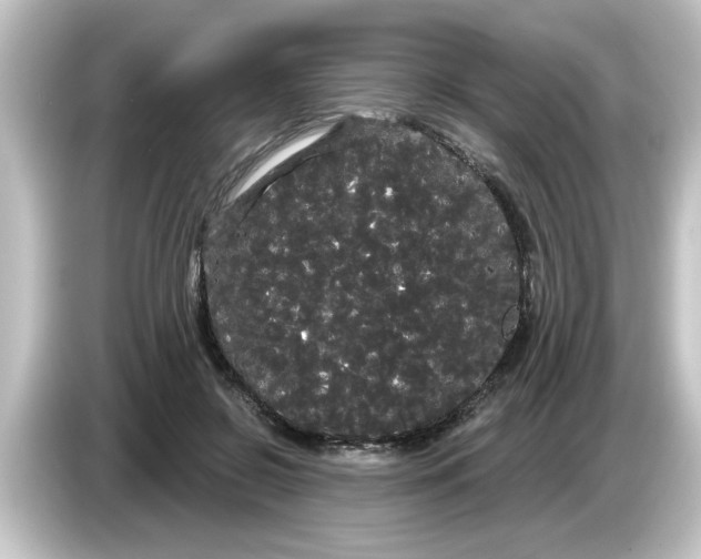 X0000084580550200703161743