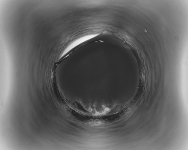 X0000084580551200703161743