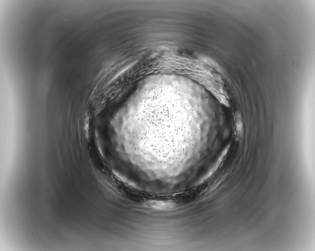 X0000084580552200703161743