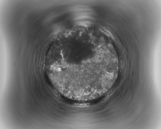 X0000084580553200703161743
