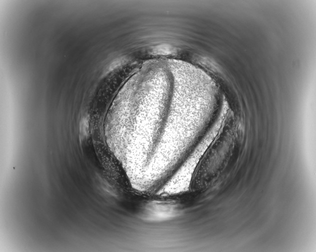 X0000084580556200703161743