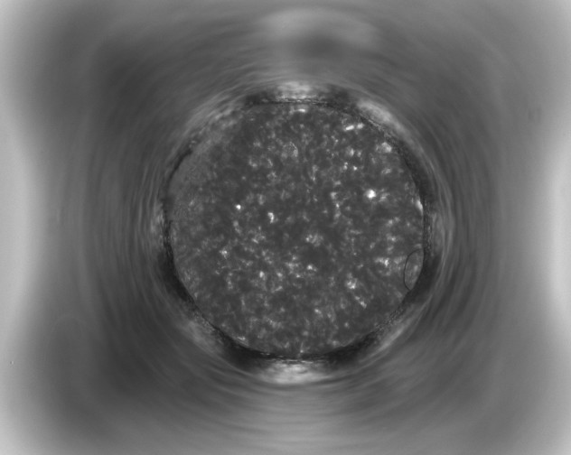 X0000084580557200703161743