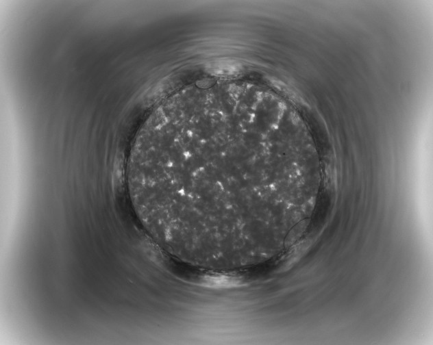 X0000084580561200703161743