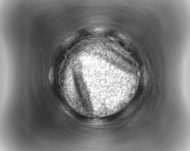 X0000084580562200703161743