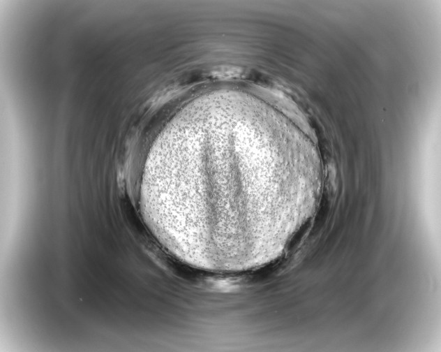 X0000084580564200703161743