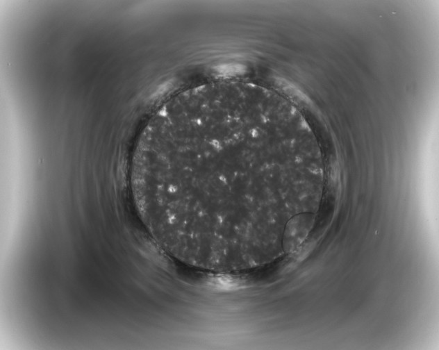 X0000084580565200703161743