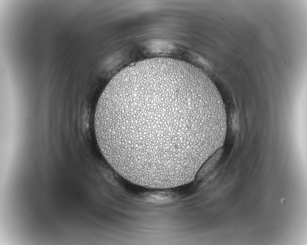 X0000084580567200703161743