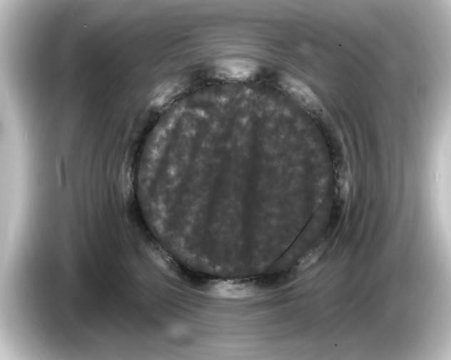 X0000084580568200703161743