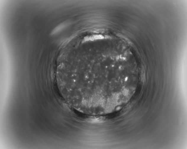 X0000084580569200703161743